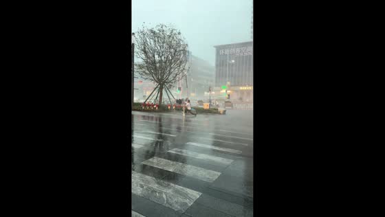 Typhoon Noul's powerful winds make walking difficult in Guangdong, China