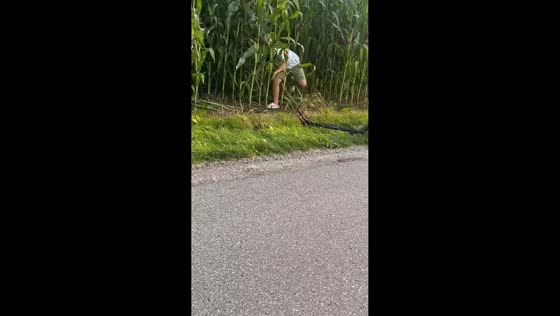 Boy falls into cornfield after e-scooter veers off road in Głębowice, Poland 