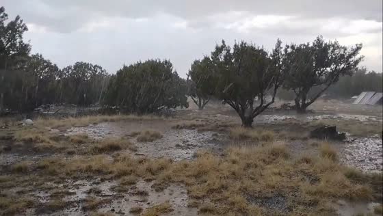 Monsoon thundershowers in Vernon, Arizona, USA