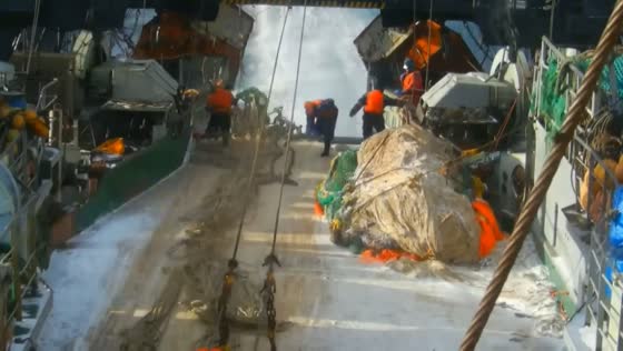 Crew member falls into sea during fishing operation in Sea of Okhotsk, Russia