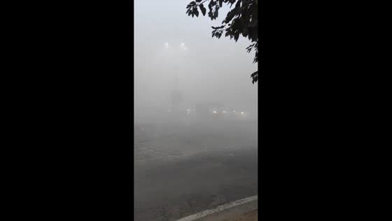 Dense fog reduces visibility below 50 meters in Delhi, India