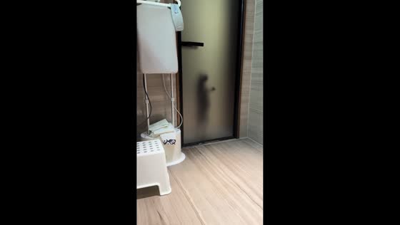 Cat persistently scratches bathroom door in Henan, China