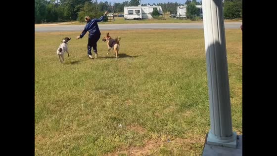 Woman trips while running in heels in Clarksville, Florida, USA