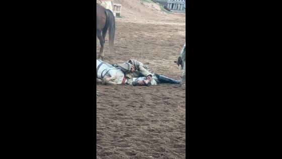 Boy and horse rest before equestrian performance in Zhejiang, China