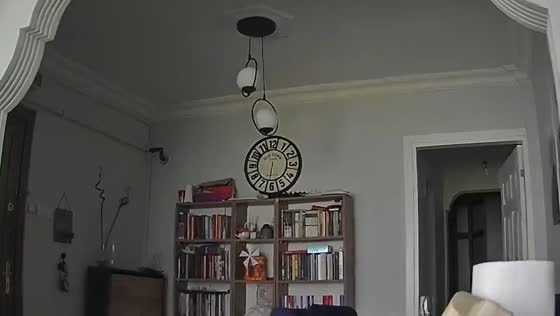 House shakes during 6.2 magnitude earthquake in Istanbul