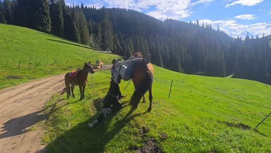 Woman falls from horse after guide slips in Xinjiang, China