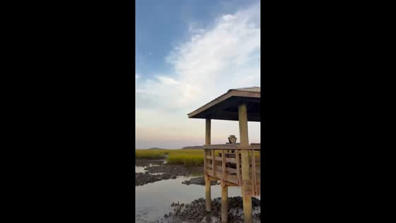 Coastal marsh transforms as tide shifts from high to low in Murrells Inlet, USA
