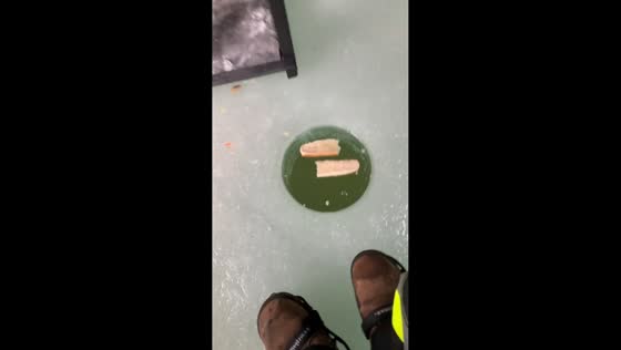 Ice fishing mishap at a frozen lake in Cheshire, Massachusetts, USA