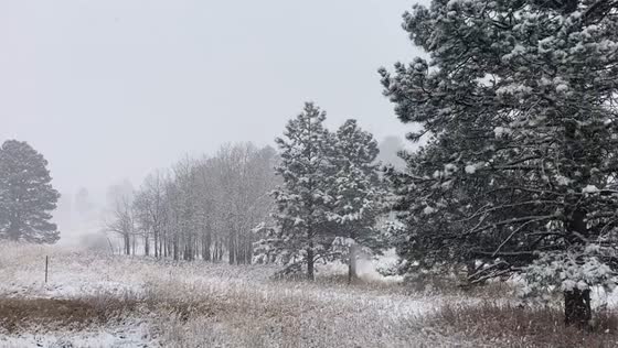 Winter storm hits Evergreen, Colorado: heavy snowfall and chilly conditions 