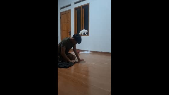 Cat knocks over paint, doubling owner’s mess in Subang, West Java