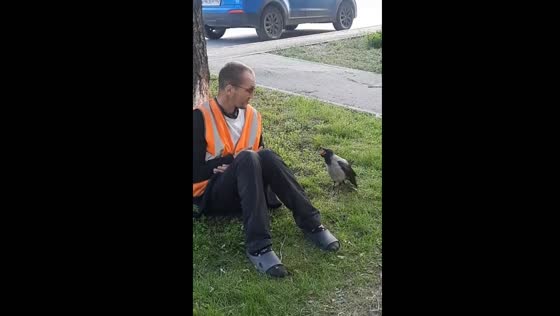 Crow and man share a moment in Kemerovo