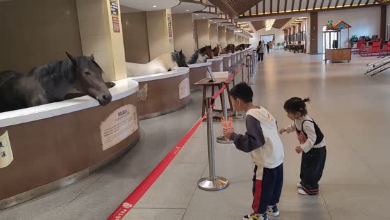 Horse bows as children offer carrot in Hebei, China