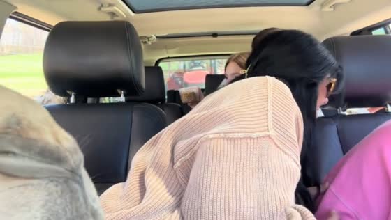 Friends surprised by animals during wildlife park drive in Paoli, Indiana, USA