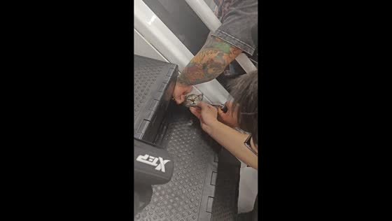 Stray cat rescued after getting trapped in treadmill in Sichuan, China