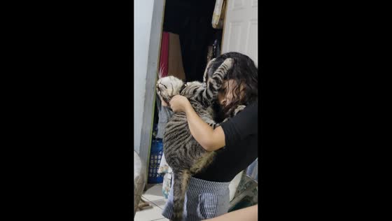 Cat playfully holds girl’s head with its paws in El Salvador