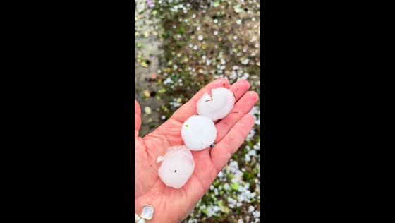 Giant hailstones pound homes during powerful storm in Bülach, Zürich, Switzerland