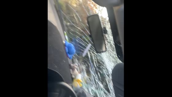 Car accident reaction in Dumfries
