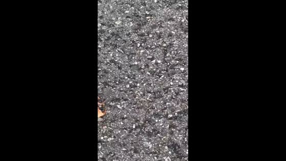 Tiny hailstones fall in short-lived storm in Billerica, USA