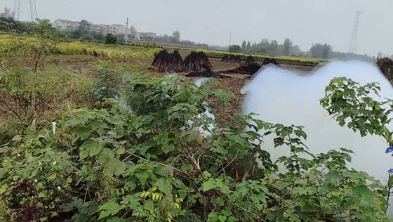 Toxic white plume falls over rural farmland in Hubei, China