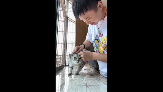 Cat kicks reflexively during ear cleaning in Sichuan, China
