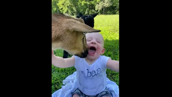 Sweet baby having fun with a goat!