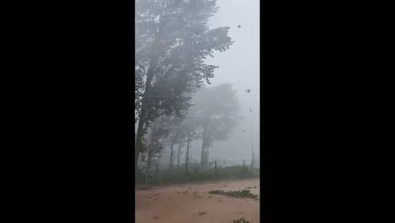 Severe rainstorm and strong winds hit Tang County in Hebei, China