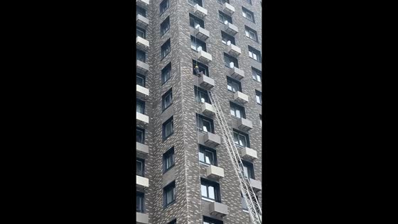 Dog rescued after 12th-floor fall onto AC unit in Yuzhno-Sakhalinsk, Russia