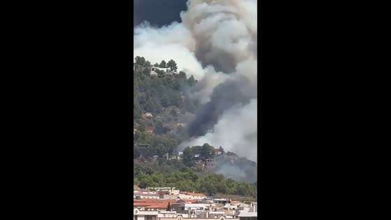 Massive wildfire sends towering smoke over homes in Valencia, Spain