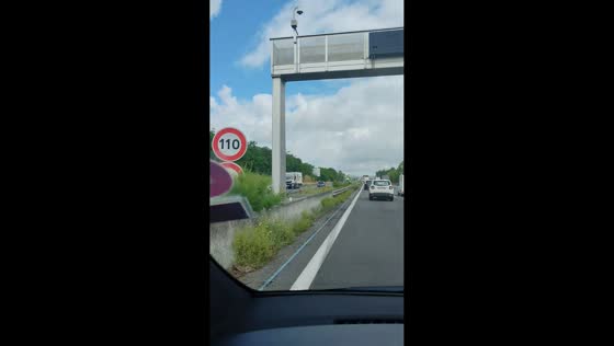 Horse runs against traffic on highway after escaping transport in Saint-Jory, France