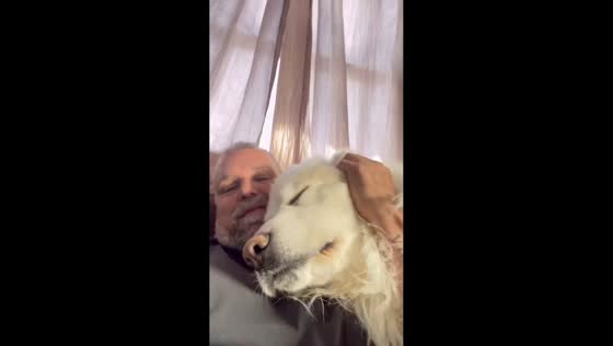 Dog acts like a clingy kid for hugs in Idaho, USA