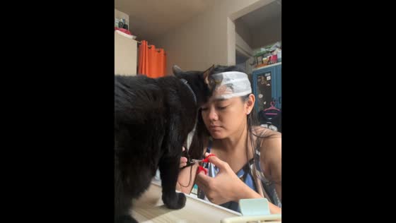 Cat grooming hack with treat distraction in Pateros, Philippines