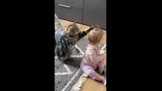 Cat vs. ponytails: adorable feline playtime with baby's hair