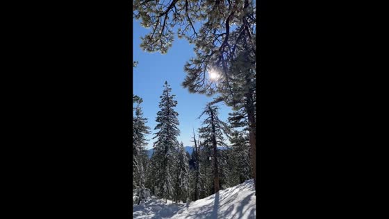 Snow blankets Mt. Pinos Nordic creating stunning winter scene in California, USA