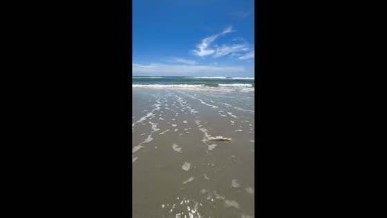 Strong wave sweeps crab back to sea on clear day in Murrells Inlet, South Carolina