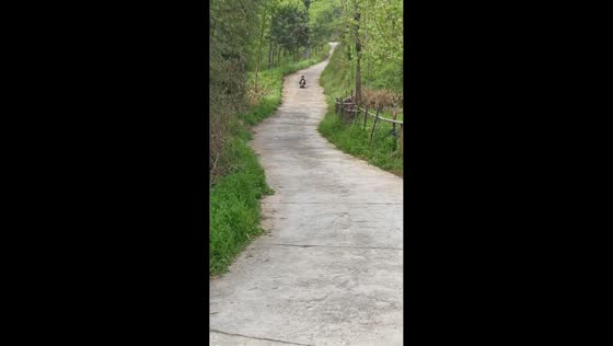 Children thrown from swivel car while riding downhill in Sichuan, China