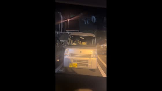 Dalmatian dog spotted sitting in parked car surprises driver in Japan