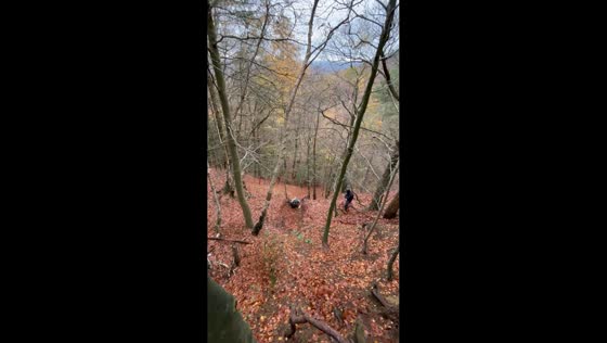 Downhill ride ends in slip on leaf-covered trail in Surrey, UK