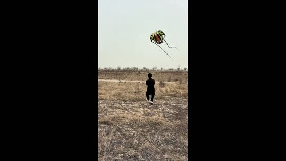 Man struggles to control kite in strong wind in Hebei, China