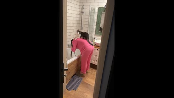 Cat keeps watch: feline joins owner during hair wash