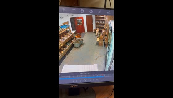 Golden retriever wanders into farm shop in Fraserburgh, Scotland, UK