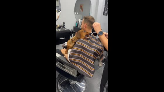 Barber battles bark: dog disrupts shave session in Bucharest