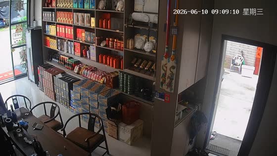 Woman discovers snake after organizing umbrellas indoors in Guangdong, China