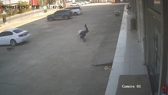 Man trips while chasing playful dog in Jiangsu, China