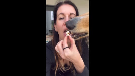 Popcorn snatchers: dog edition