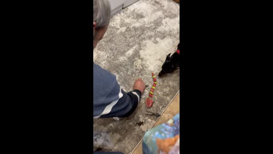 Father struggles to catch jumping frogs in Khabarovsk, Russia