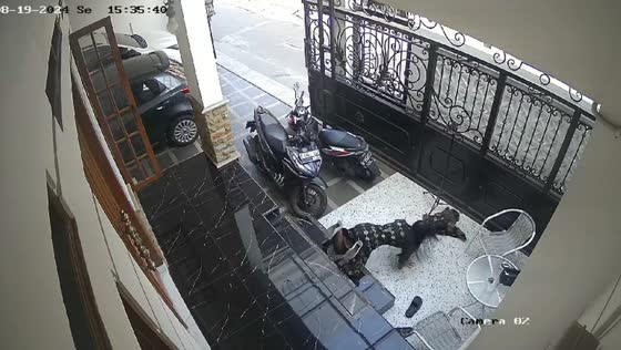 Jakarta resident falls while showcasing clothes in video