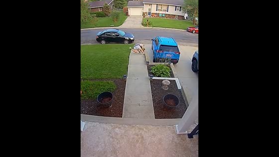 Man trips and falls while heading outside in East Alton, Illinois, USA