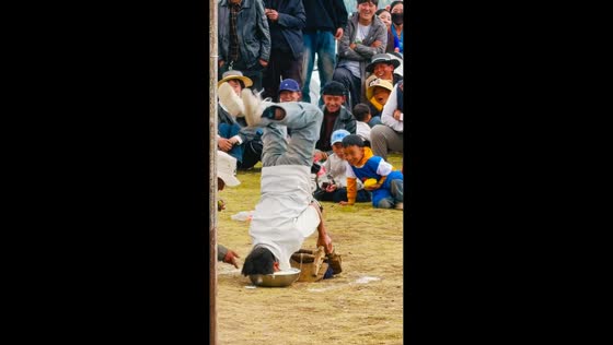 Man tumbles into bowl of Tibetan yogurt during traditional festival game in Tibet, China