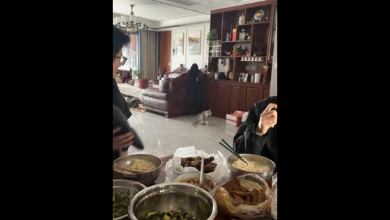 Cat startled by thrown slipper during mealtime in Henan, China