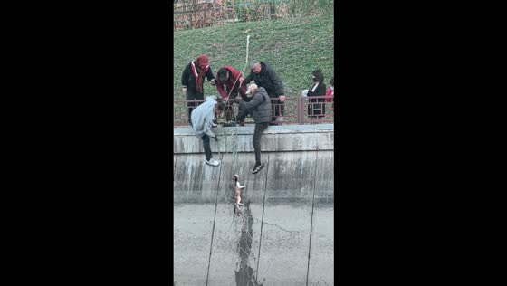 Rescuers save a stranded kitten from a concrete river embankment in Jilin, China
